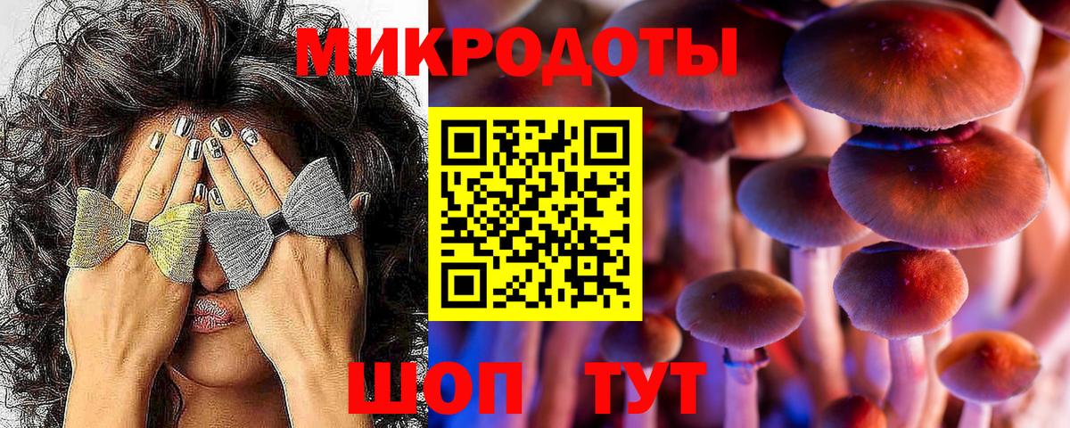 закладки  Вход с VPN  Галлюциногенные грибы Psilocybe  Ростов-на-Дону  Псилоцибиновые грибы ЛСД 
